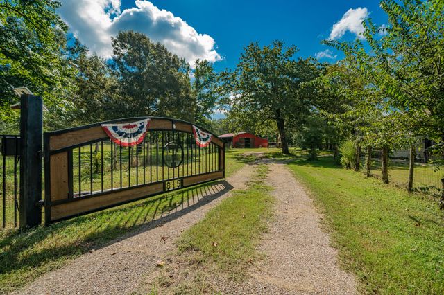 815 VZ County Road 4409, Ben Wheeler, TX 75754