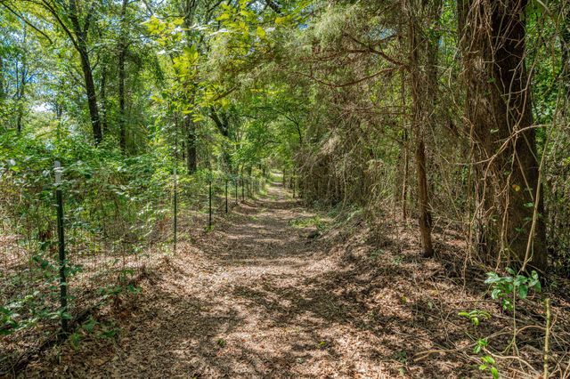 815 VZ County Road 4409, Ben Wheeler, TX 75754