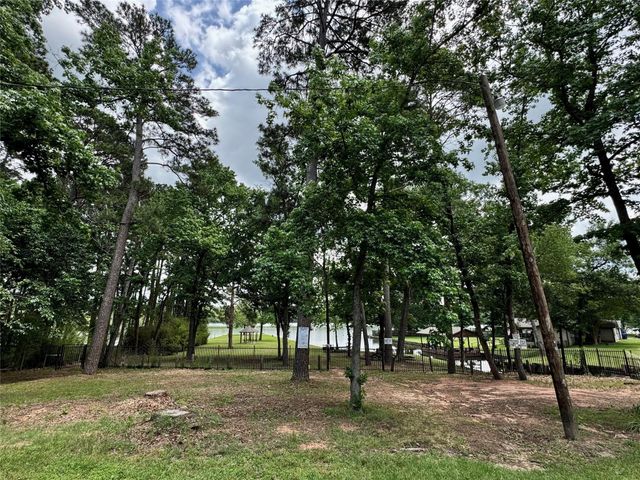 16445 Lochness Drive, Willis, TX 77318