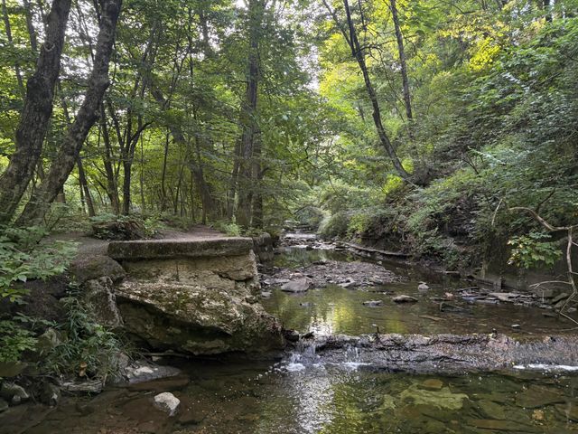 175 Canyon Drive, Columbus, OH 43214