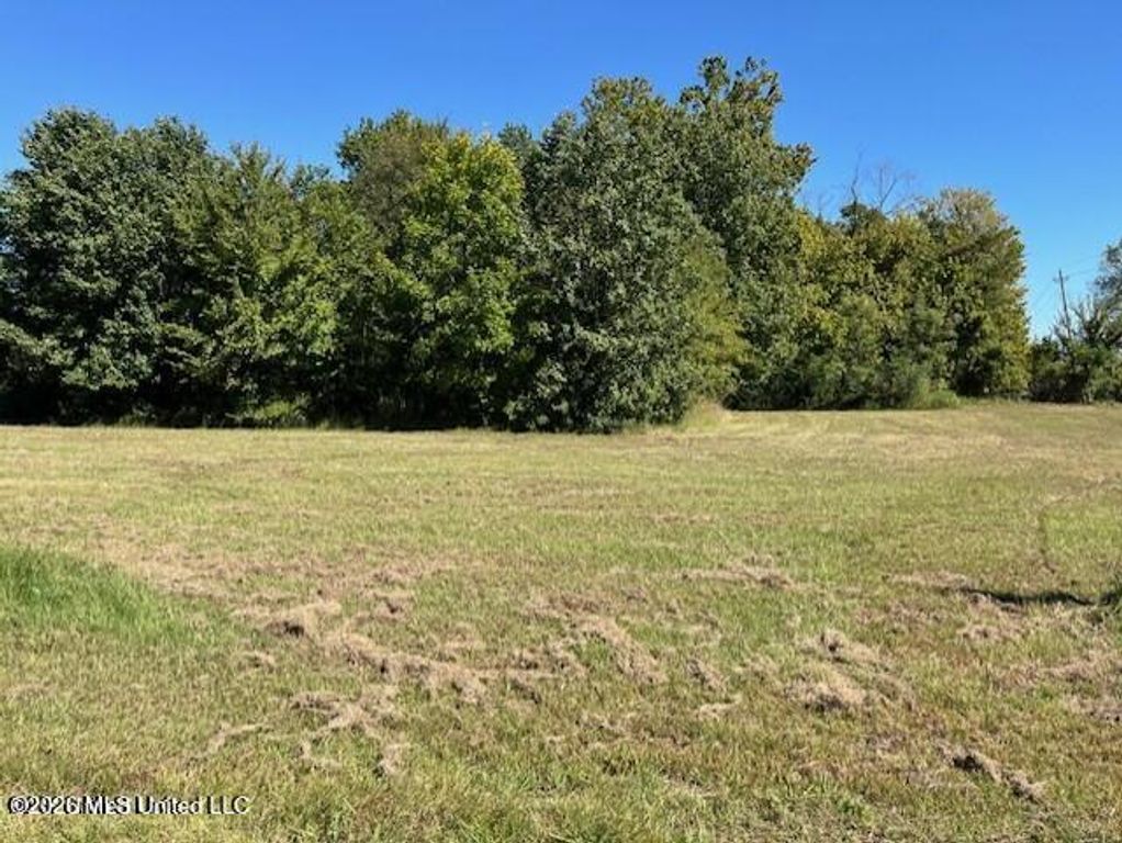 10 Airways Boulevard, 10, Southaven, MS 38671 — photo 3