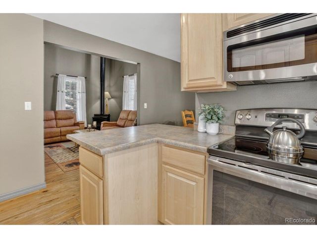 220 Chase St, Black Hawk, CO 80422