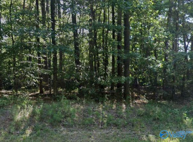 0.55 Shannon Circle, Gadsden, AL 35904