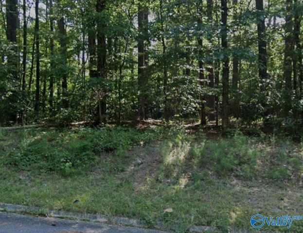 0.55 Shannon Circle, Gadsden, AL 35904
