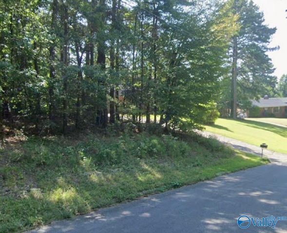 0.55 Shannon Circle, Gadsden, AL 35904