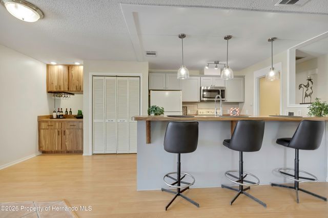 1021 Waterfall Drive, Spring Hill, FL 34608