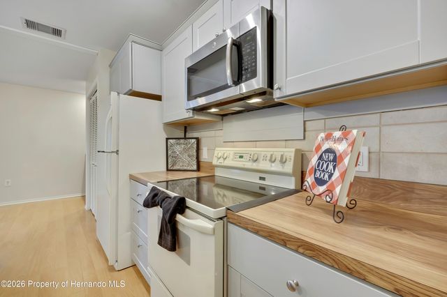 1021 Waterfall Drive, Spring Hill, FL 34608