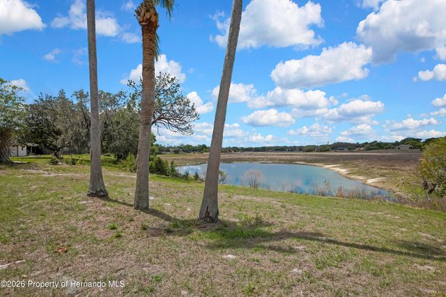 1021 Waterfall Drive, Spring Hill, FL 34608