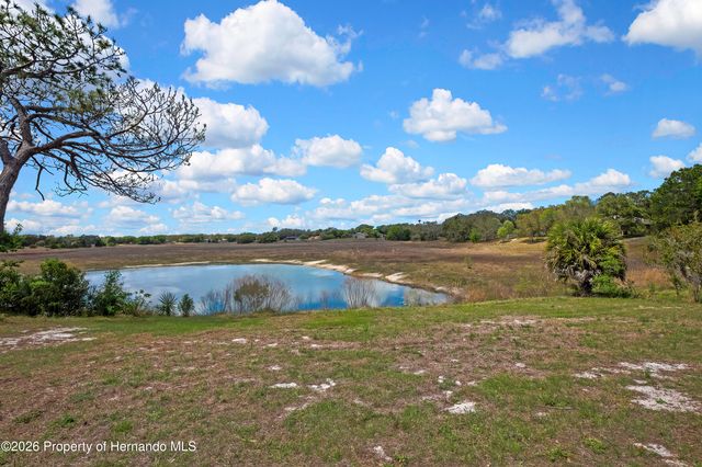 1021 Waterfall Drive, Spring Hill, FL 34608