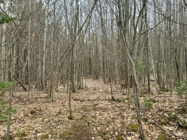 348 Patent Road, Peru, NY 12972