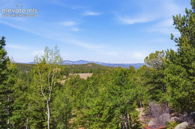 516 Saguache Drive, Florissant, CO 80816