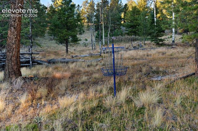 516 Saguache Drive, Florissant, CO 80816