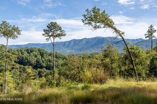 454 Mt. John Luke Rd, Townsend, TN 37882