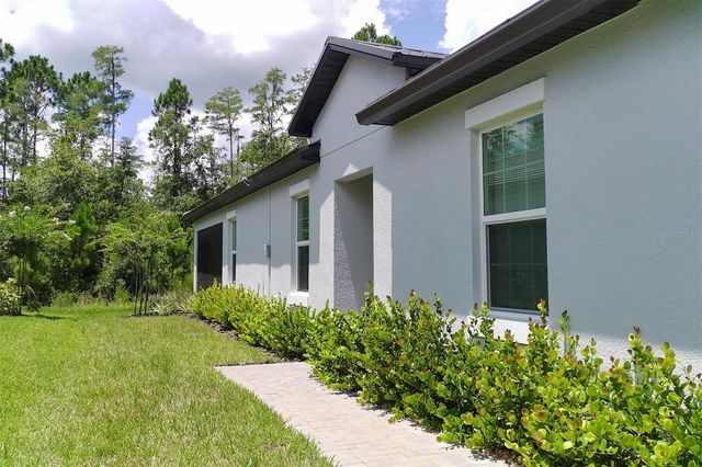 16657 SHELL BAY DRIVE, Land O Lakes, FL 34638