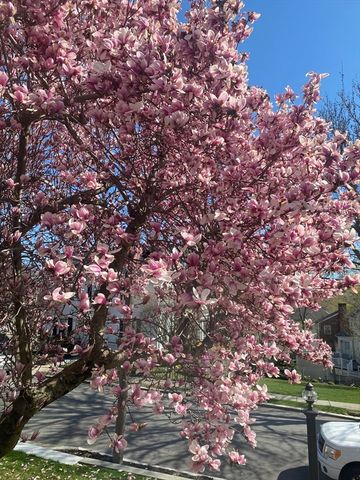 32 Russett Rd, Boston, MA 02132