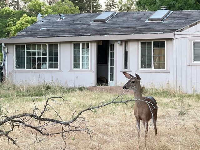 3244 Panama Ave, Carmichael, CA 95608