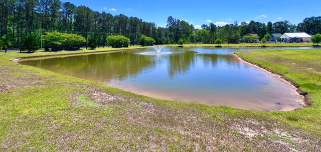 3006 Central Ring Court, Ridgeville, SC 29472