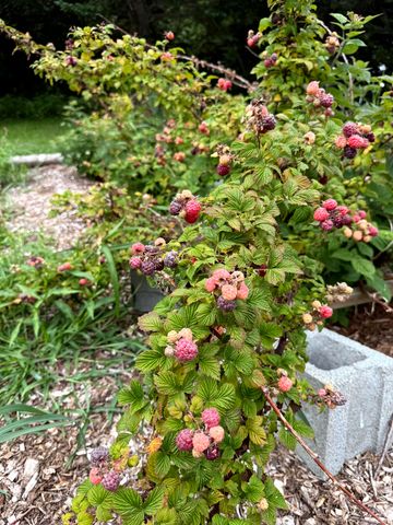 3041 Cross Road, Jay, VT 05859