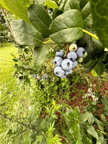 3041 Cross Road, Jay, VT 05859