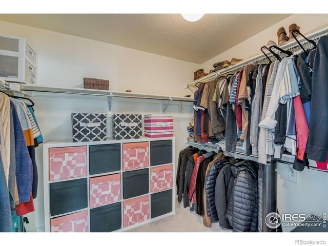 1599 Hudson Drive, Erie, CO 80516