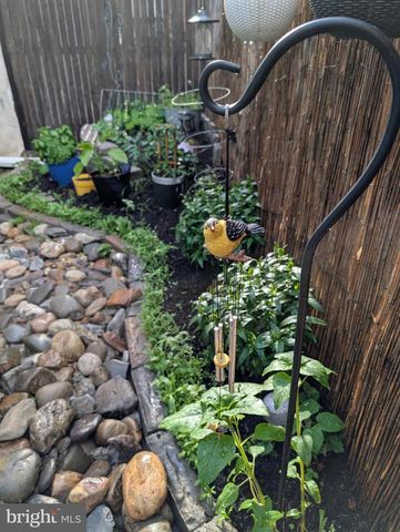 1729 REED ST, Philadelphia, PA 19146