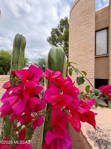 2928 E Sierra Vista Road, Tucson, AZ 85716