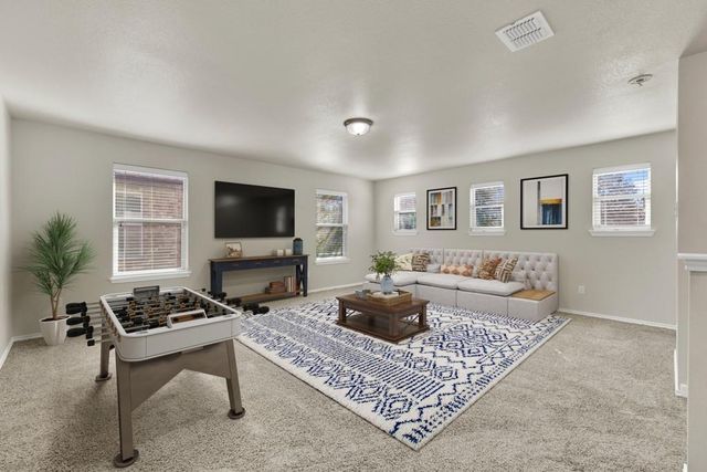 310 Sageleaf Willow DR, San Marcos, TX 78666