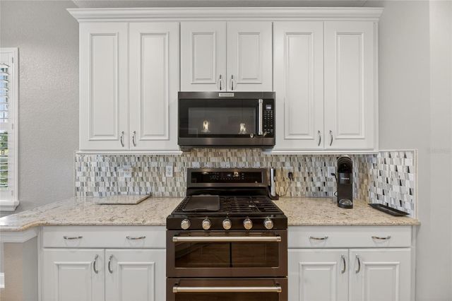 1351 EMERALD DUNES DRIVE 1351, Sun City Center, FL 33573