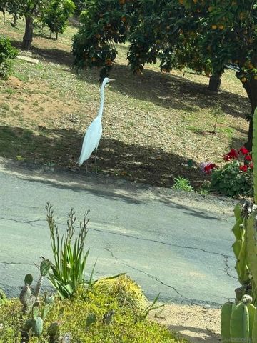 3993 Peony Dr., Fallbrook, CA 92028