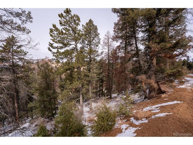 3388 N Mountain Estates Rd, Florissant, CO 80816