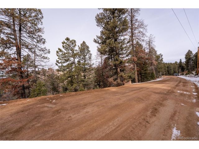 3388 N Mountain Estates Rd, Florissant, CO 80816