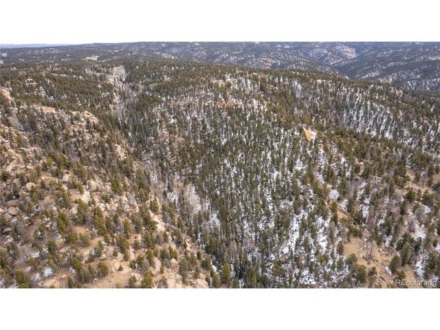3388 N Mountain Estates Rd, Florissant, CO 80816