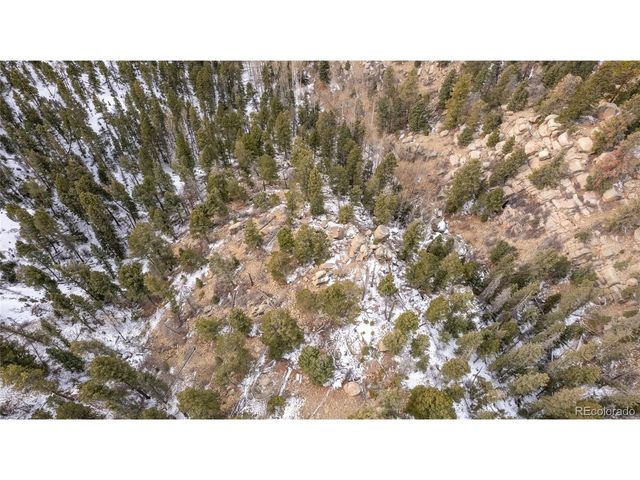 3388 N Mountain Estates Rd, Florissant, CO 80816