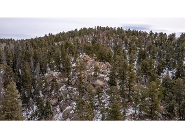 3388 N Mountain Estates Rd, Florissant, CO 80816