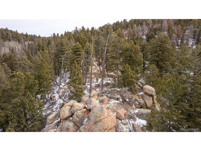 3388 N Mountain Estates Rd, Florissant, CO 80816