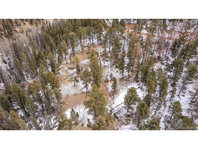 3388 N Mountain Estates Rd, Florissant, CO 80816