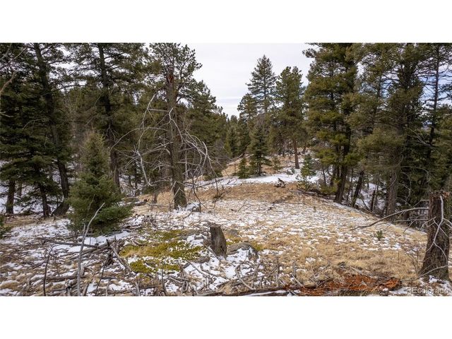 3388 N Mountain Estates Rd, Florissant, CO 80816