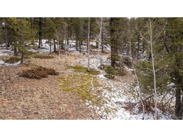 3388 N Mountain Estates Rd, Florissant, CO 80816