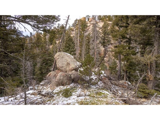 3388 N Mountain Estates Rd, Florissant, CO 80816