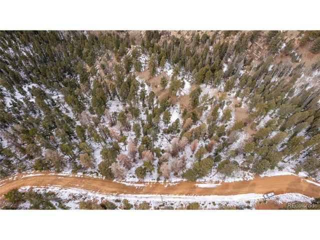 3388 N Mountain Estates Rd, Florissant, CO 80816