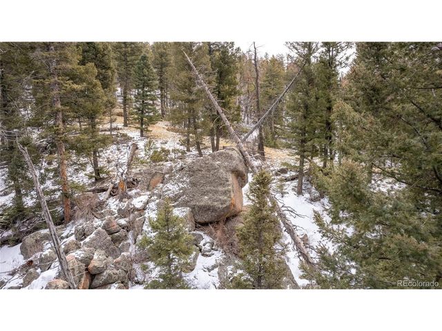3388 N Mountain Estates Rd, Florissant, CO 80816