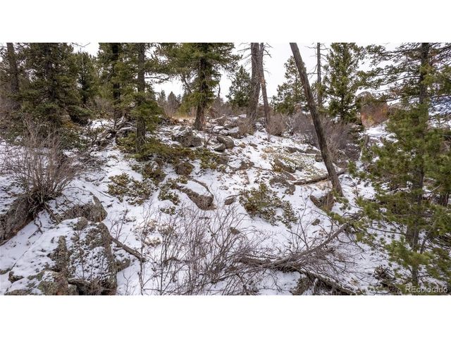 3388 N Mountain Estates Rd, Florissant, CO 80816