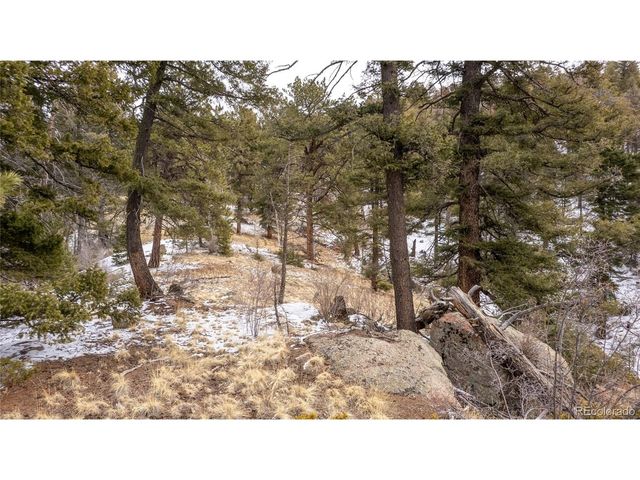 3388 N Mountain Estates Rd, Florissant, CO 80816