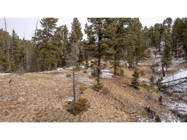 3388 N Mountain Estates Rd, Florissant, CO 80816