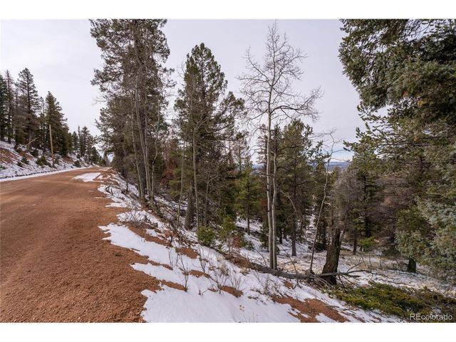 3388 N Mountain Estates Rd, Florissant, CO 80816