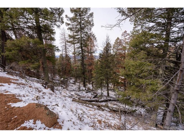 3388 N Mountain Estates Rd, Florissant, CO 80816