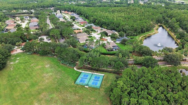 12516 LEATHERLEAF DRIVE, Tampa, FL 33626