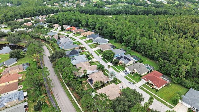 12516 LEATHERLEAF DRIVE, Tampa, FL 33626