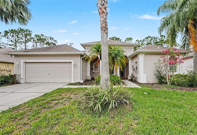 12516 LEATHERLEAF DRIVE, Tampa, FL 33626