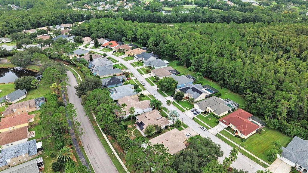 Image 27 of property listing at 12516 LEATHERLEAF DRIVE, Tampa, FL 33626